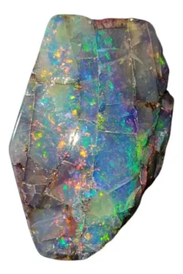 Opalized Clam Shell